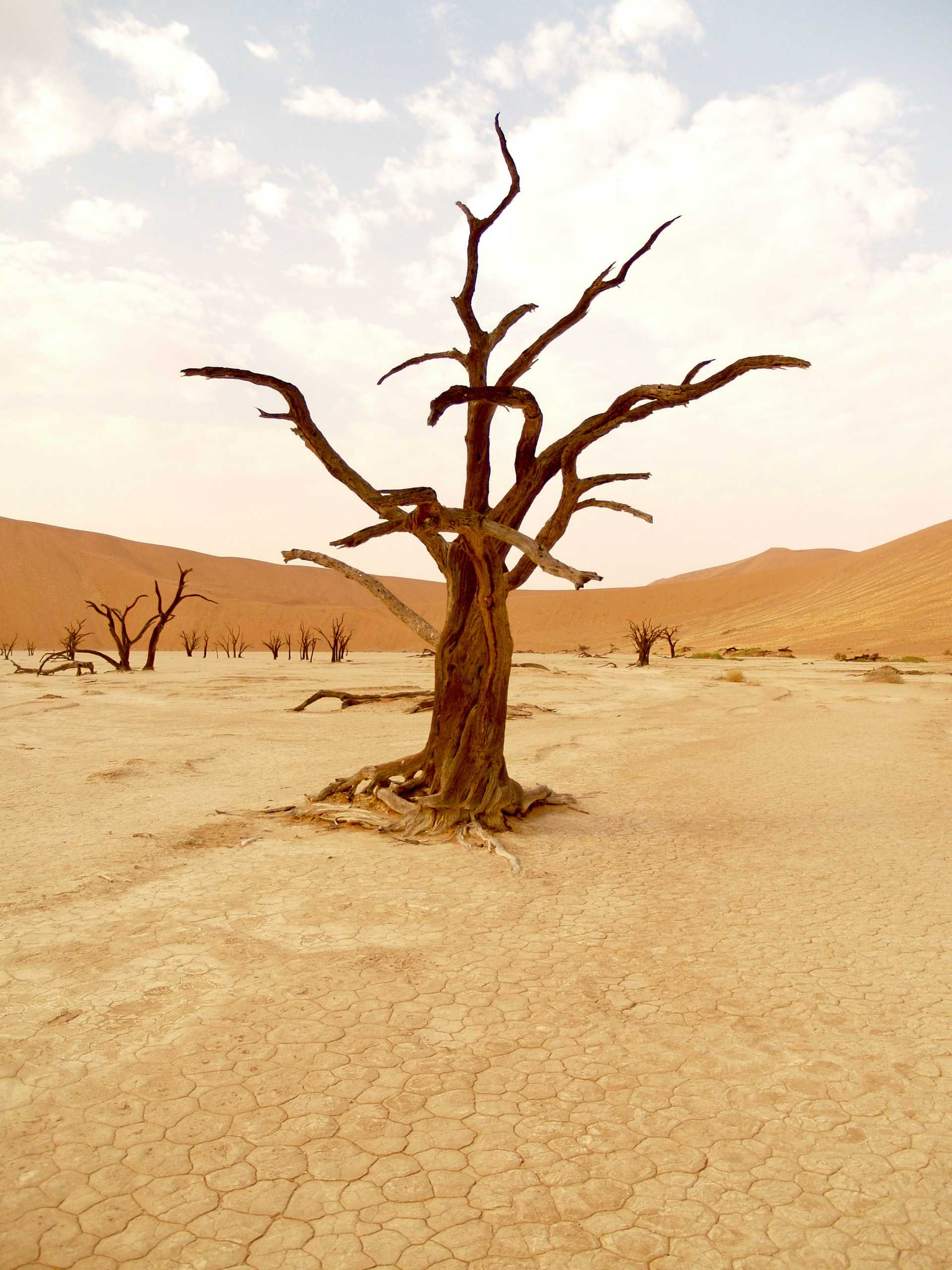 A photograph of the Namibian landscape is featured in the video for Child of Lockdown by Blue Bird by Peter Burdon